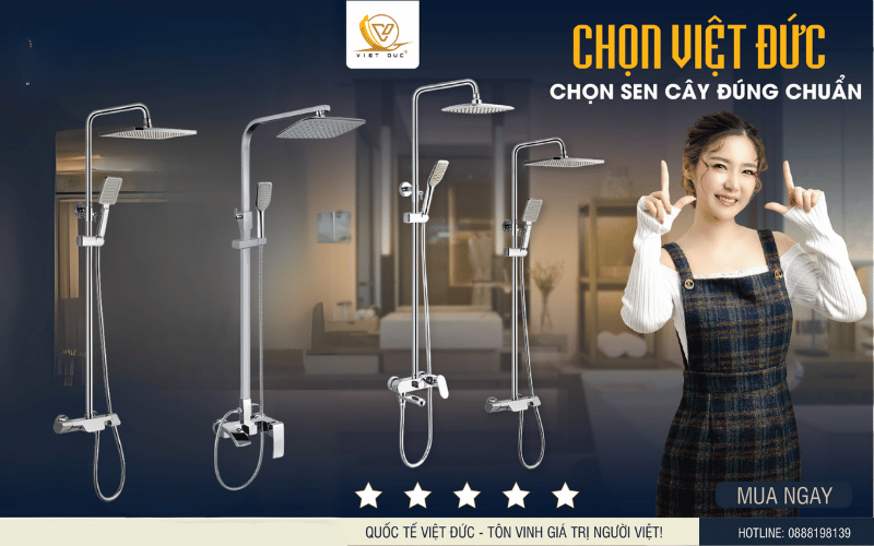Nên mua sen cây loại nào tốt? Kinh nghiệm chọn sen cây bền đẹp cho nhà tắm